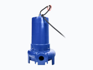 Погружной насос Gobza BIOM T.50-325.190.48.40.153.B, общий вид
